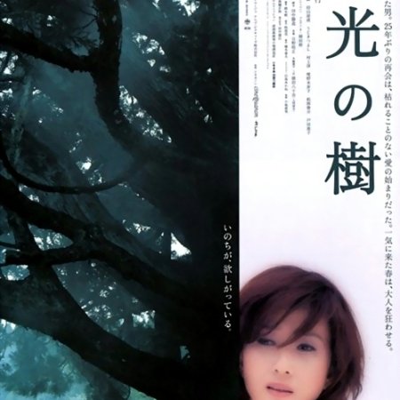 Kamisama no Boto  (2013)