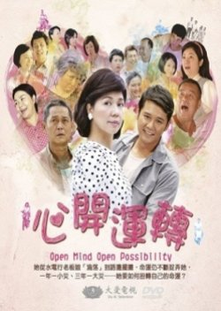 Open Mind, Open Possibility (2013) poster