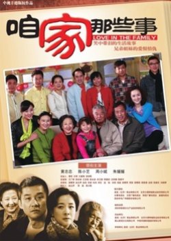 Love In The Family (2011) poster