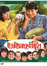 Mae Taeng Rom Bai Thai Movie(1982) photo