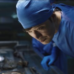 Partners for Justice (2018) photo