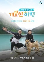 A Man Who Feeds the Dog Season 4 Korean TV Program photo