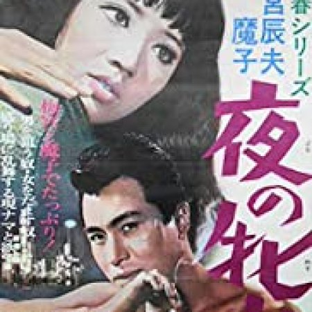 Yoru no Mesuinu (1966)