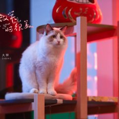 Falling Into Your Smile Ep 131 Eng Sub Youtube