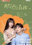 A Romance of the Little Forest chinese drama review