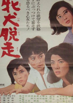 Meinu Dasso (1965) poster