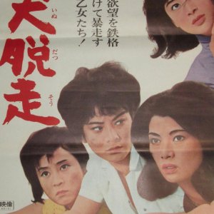 Meinu Dasso (1965)