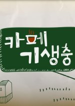 Cafe Parasite Korean TV Program photo