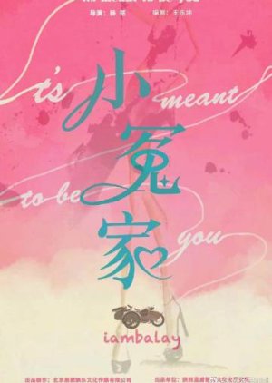 It's Meant to Be You () poster