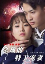 The Boss's Wife Is an Agent Chinese Movie photo
