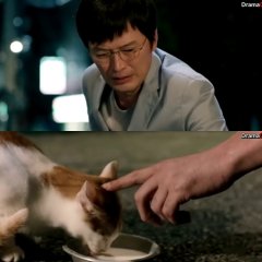 The Plan Man Korean Movie photo