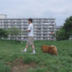 Beijing Watermelon Japanese Movie photo