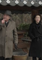 Camellias in Bloom Korean Movie photo