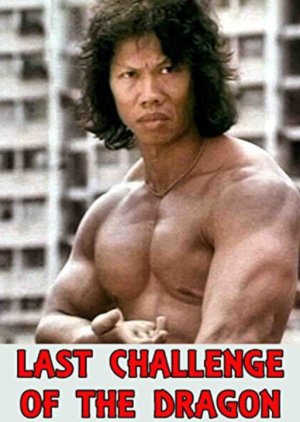 Last Challenge of the Dragon (1976) poster