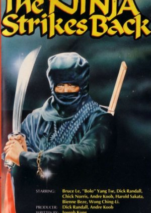 The Ninja Strikes Back (1982) poster