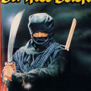 The Ninja Strikes Back (1982)