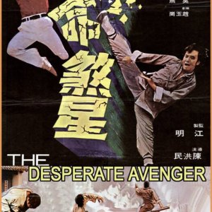 Desperate Avenger (1973)