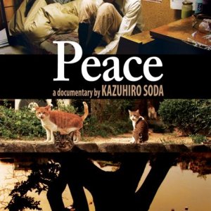Peace (2010)