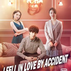 I Fell in Love by Accident Chinese Drama photo