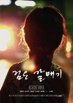 Black Dove Korean Movie photo