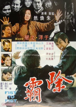 Fist to Fist (1973) poster
