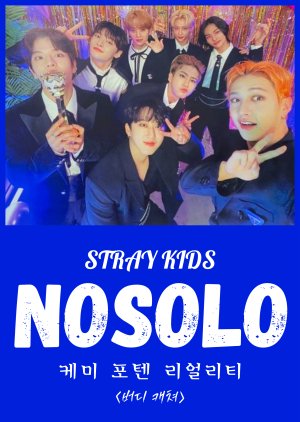 Stray Kids: Nosolo (2021) poster