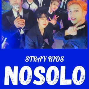 Stray Kids: Nosolo (2021)