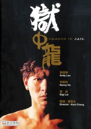 Dragon in Jail (1990) poster