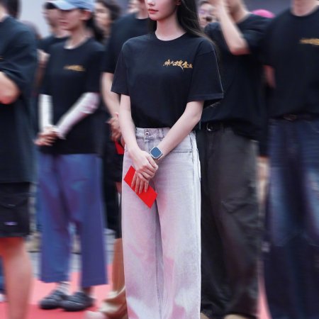 Jin Yi Sou Jin Lu ()