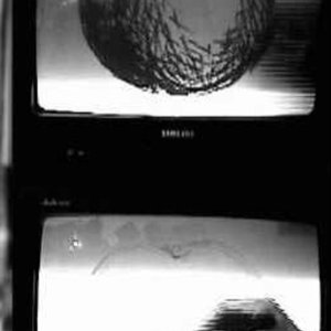 Anti-dialectic: The Letter to Nietzsche and Merleau-Ponty in Form of Density (2001)
