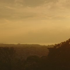 Let Me Eat Your Pancreas Japanese Movie photo