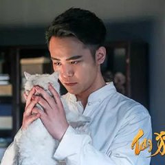 Fairy Cat Chinese Movie photo