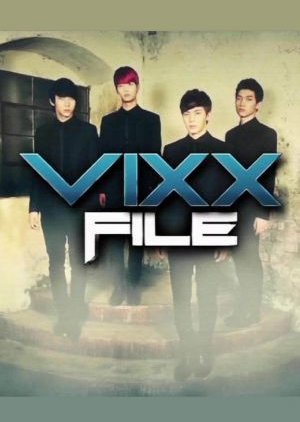 VIXX File (2013) poster