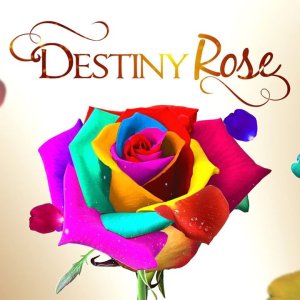 Destiny Rose (2015)
