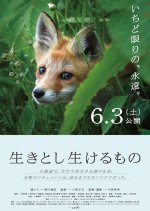 A Life Line Japanese Movie photo