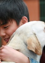 Hearty Paws 1 Korean Movie photo