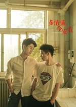 The Raccoon Chinese Movie photo