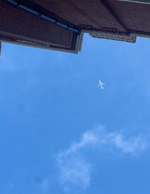 bluesky07 