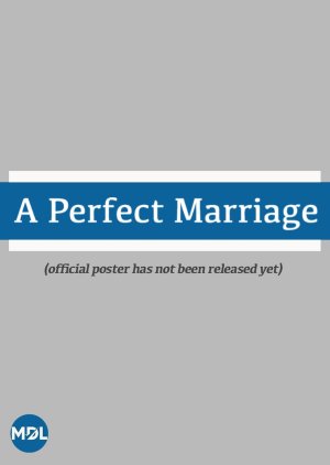 A Perfect Marriage poster