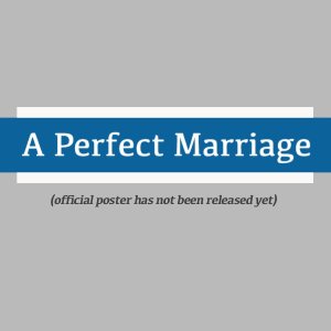 A Perfect Marriage ()