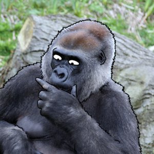 yoszyba