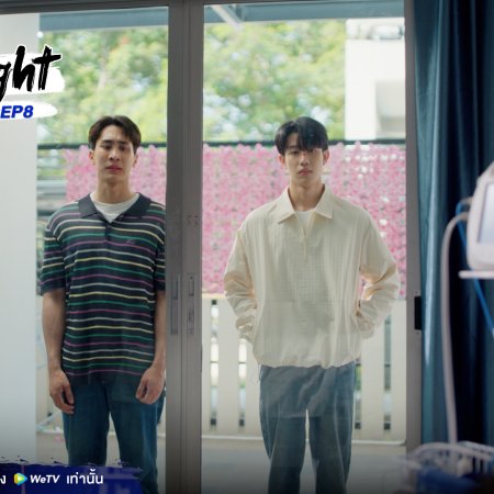 Knock Out (2025)