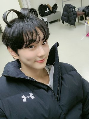 yj3