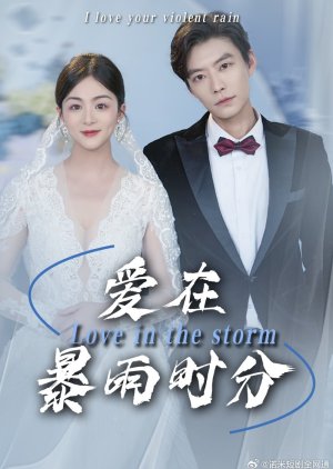 Love in the Storm (2025) poster
