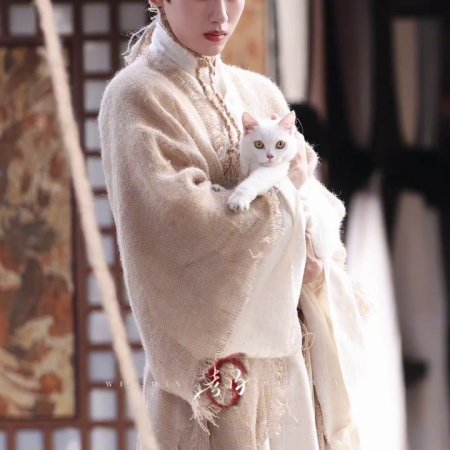 Liang Chen Mei Jin ()