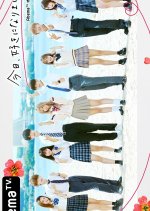 I Fell in Love Today Season 23 Japanese TV Program photo