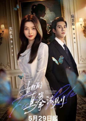 Her Straight Punch Rule (2026) poster