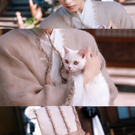 Winwin