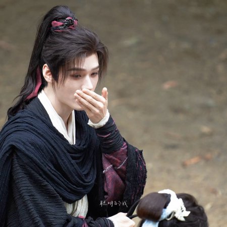 The Legend of Lu Xiaofeng ()