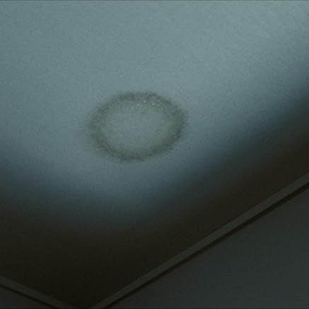 Dark Water (2002)